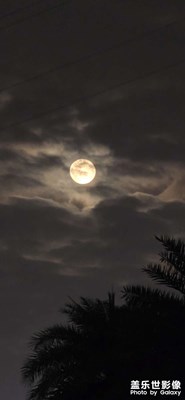 今晚的月亮