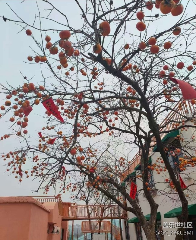 【2026第一站】假期結(jié)束