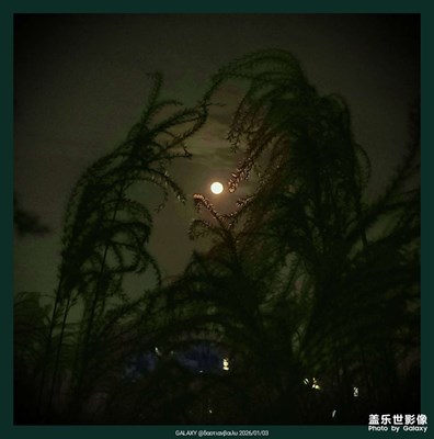 【以光影，敬新年】+超級月亮