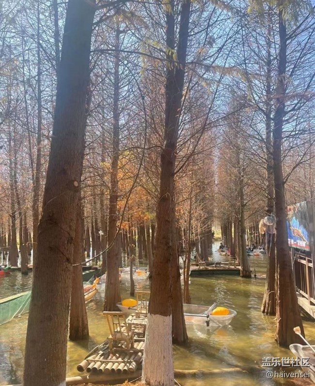 【2026第一站】邂逅