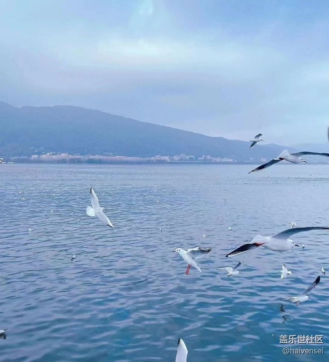 【2026第一站】邂逅