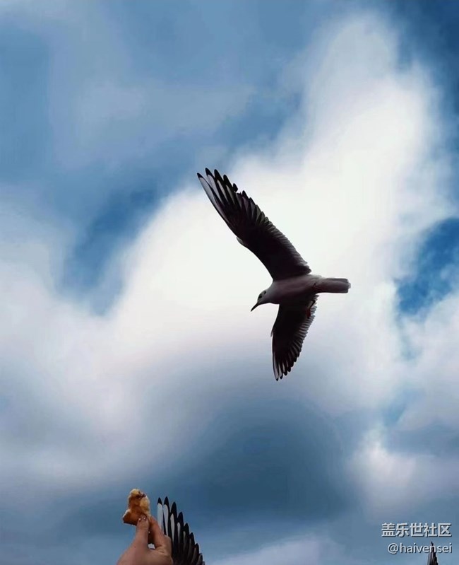 【2026第一站】邂逅