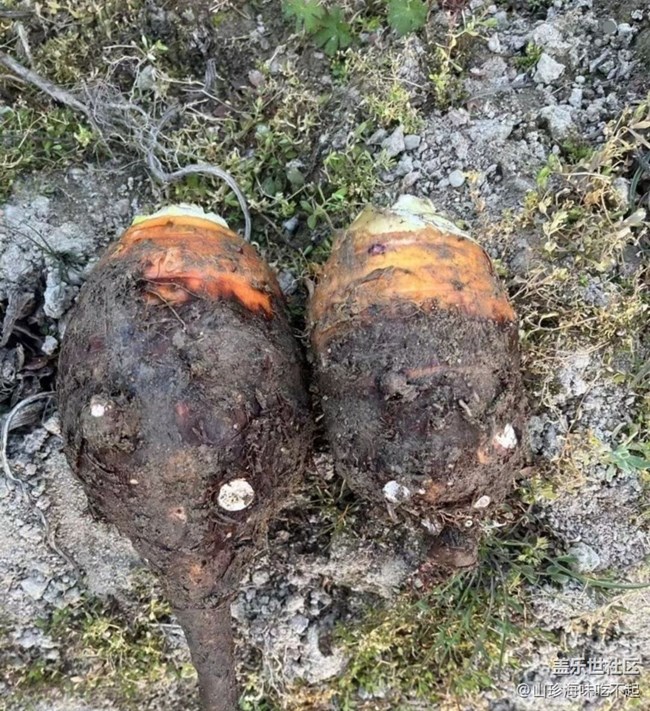 【2026第一站】回老家