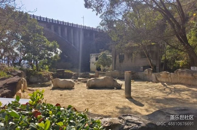 【2026第一站】游玩