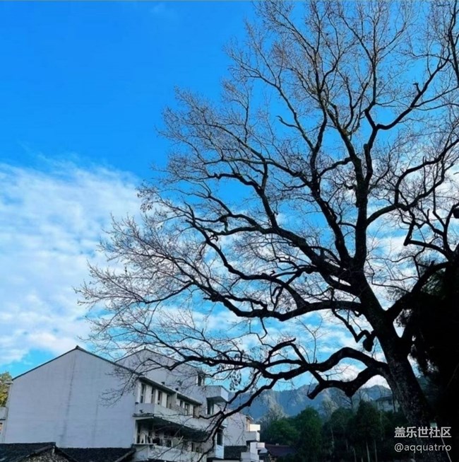 【2026第一站】鄉(xiāng)村