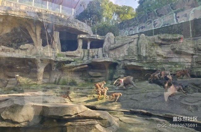 【2026第一站】游玩