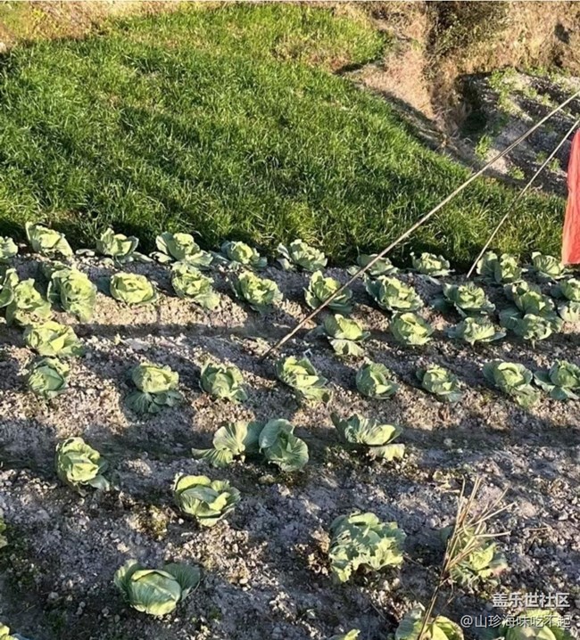 【2026第一站】回老家