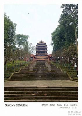 【以光影，敬新年】小寒游重龍