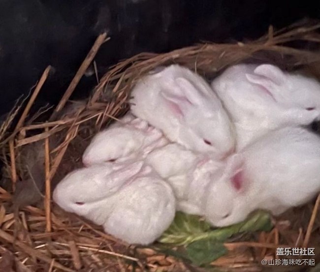 【2026第一站】回老家