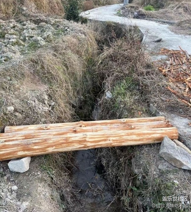 【2026第一站】回老家