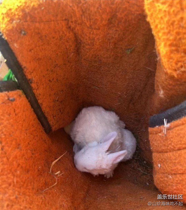 【2026第一站】回老家