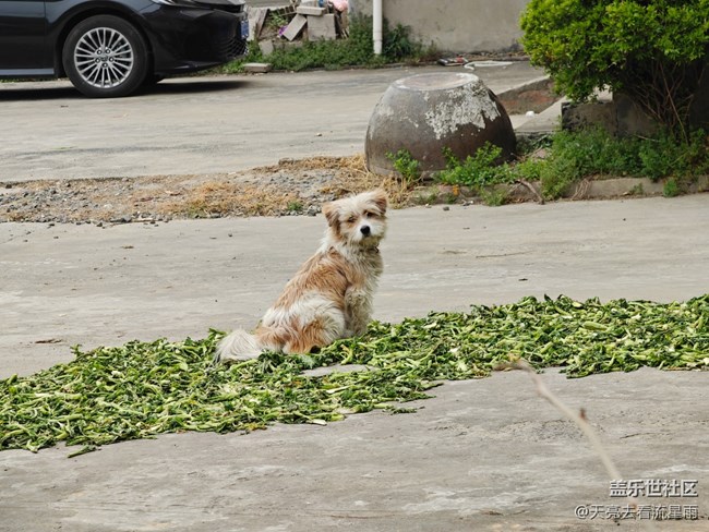 【2026第一縷光】隨便拍拍