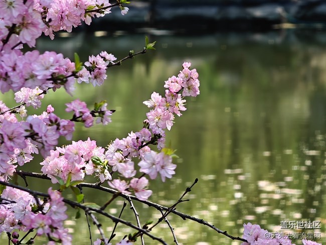 【冬有冬的來意】思春