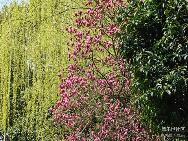 【冬有冬的來意】思春