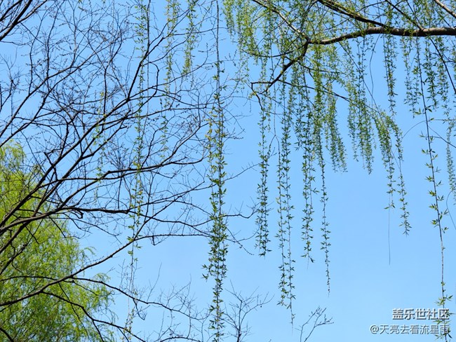 【冬有冬的來意】思春