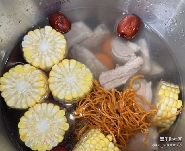 【新歲食語】燉湯