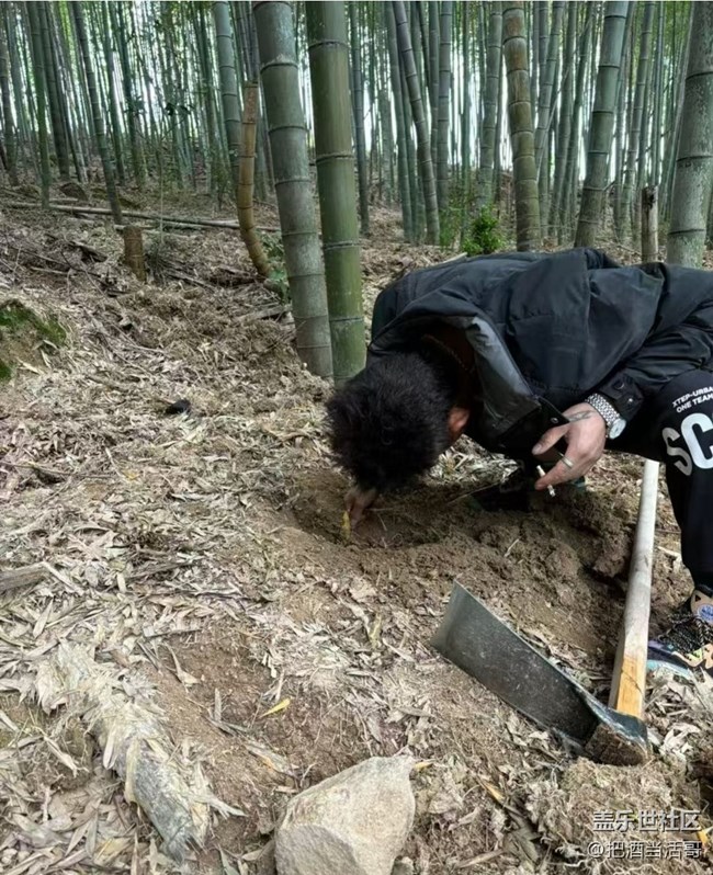 【2026第一站】挖冬筍