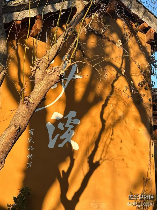 【2026第一站】去有風(fēng)的地方