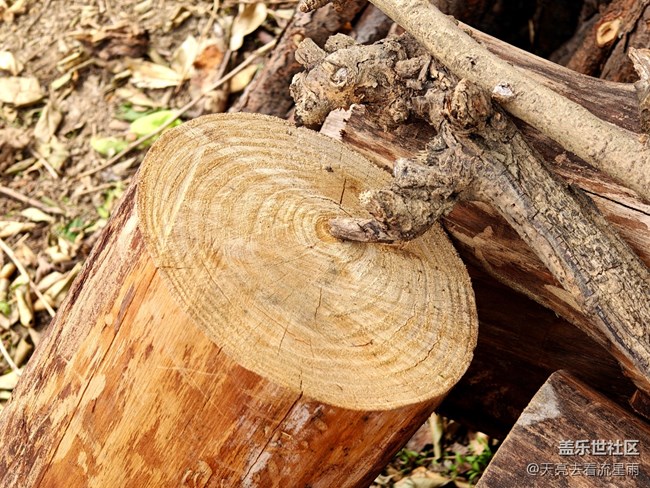 【2026第一縷光】隨便拍拍