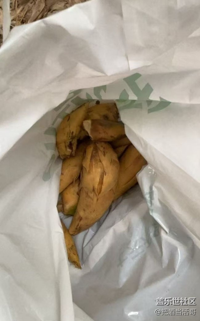 【2026第一站】挖冬筍