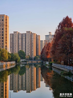 【以光影，敬新年】+小區(qū)里的光影