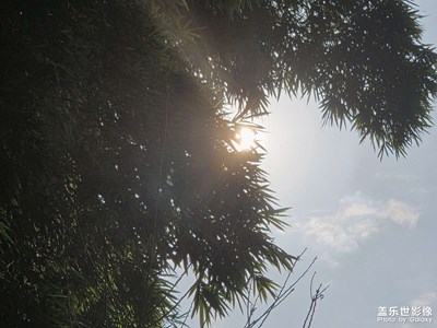 【以光影，敬新年】陽光