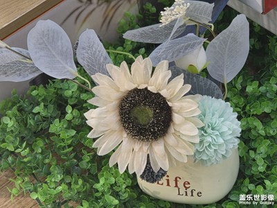 【以光影，敬新年】年味光影