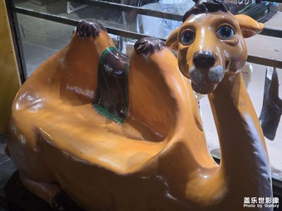 【以光影，敬新年】駱駝座椅