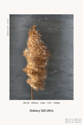 【鏡頭里的故事】+冬日暖陽(yáng)