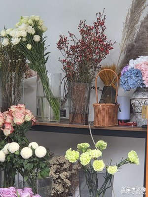 【以光影，敬新年】冬天的溫暖