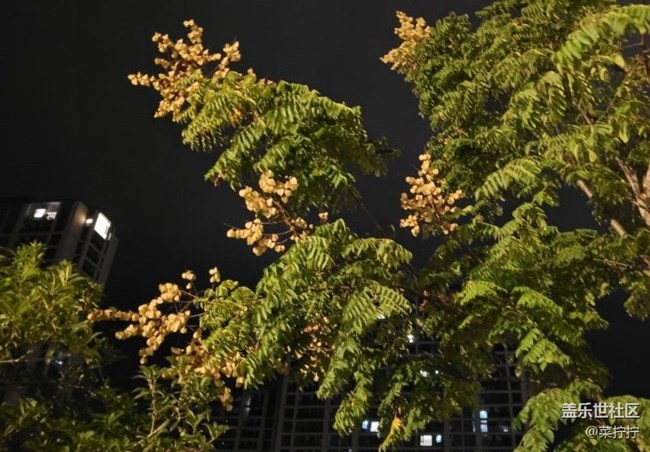 【折疊屏手機里的春夏秋冬】秋夜