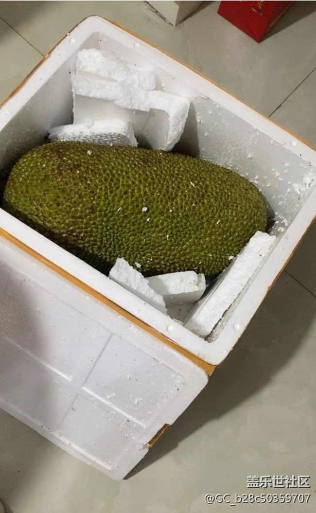 【冬日暖胃計劃】熱帶水果