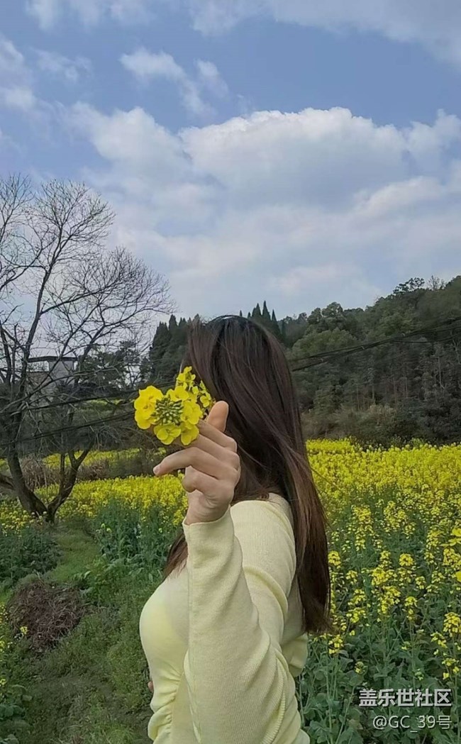 【折疊屏手機里的春夏秋冬】春日尋花