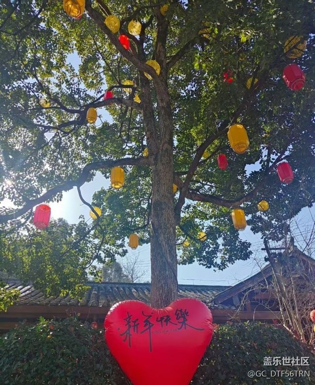 【折疊屏手機(jī)里的春夏秋冬】家鄉(xiāng)的新年