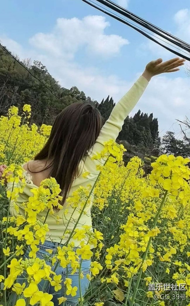 【折疊屏手機里的春夏秋冬】春日尋花