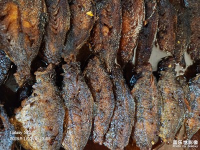 【鏡頭里的故事】+隨拍