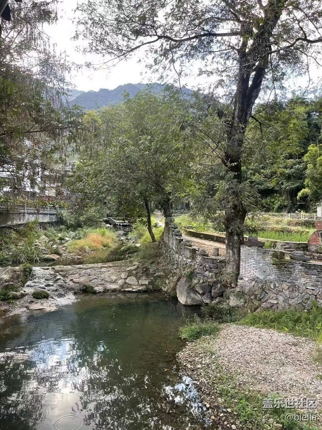 【折疊屏手機(jī)里的春夏秋冬】戶外