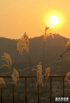 落日余暉--天然的濾鏡