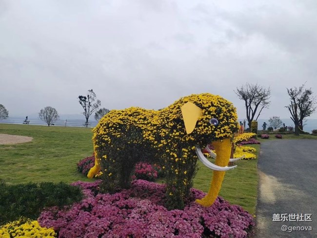 【折疊屏手機里的春夏秋冬】菊園