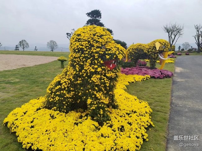 【折疊屏手機里的春夏秋冬】菊園