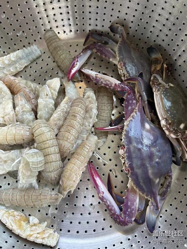 【折疊屏手機里的春夏秋冬】出海