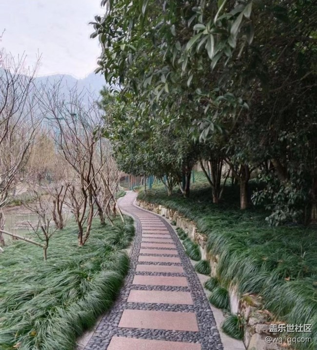 【折疊屏手機(jī)里的春夏秋冬】春光無限好