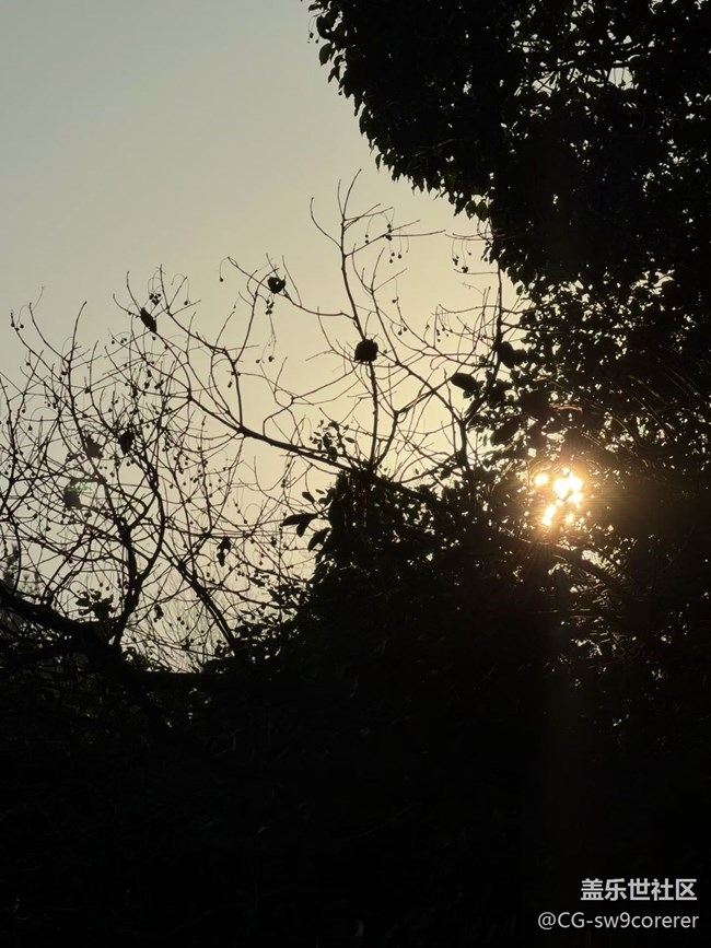 【折疊屏手機里的春夏秋冬】清晨