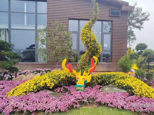 【折疊屏手機里的春夏秋冬】菊園