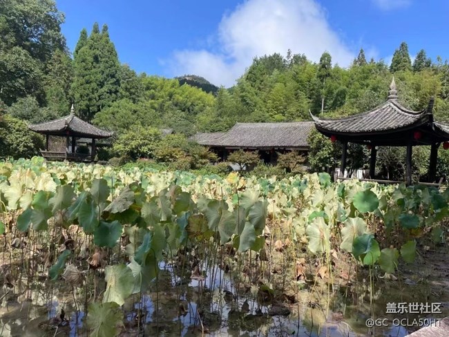 【折疊屏手機(jī)里的春夏秋冬】夏季景色