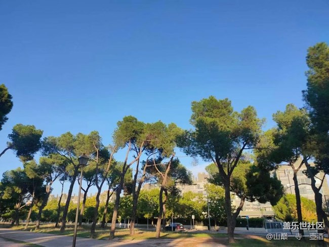 【折疊屏手機(jī)里的春夏秋冬】秋季森林