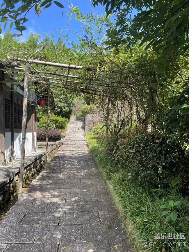 【折疊屏手機(jī)里的春夏秋冬】夏季景色