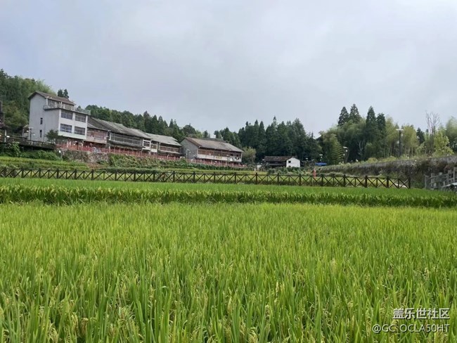 【折疊屏手機(jī)里的春夏秋冬】夏季景色