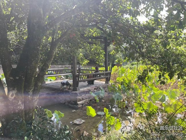 【折疊屏手機(jī)里的春夏秋冬】夏季景色