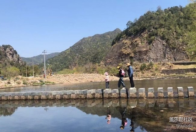 【折疊屏手機(jī)里的春夏秋冬】去春游